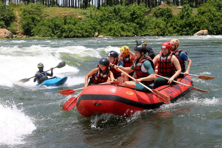 how-to-start-a-tourism-company-in-uganda