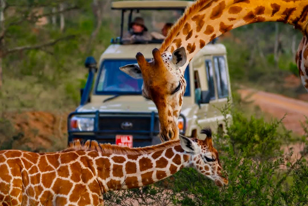 how-to-choose-the-right-tourism-course-for-your-career