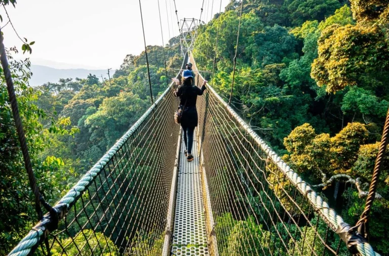 top-online-tourism-courses-for-busy-students