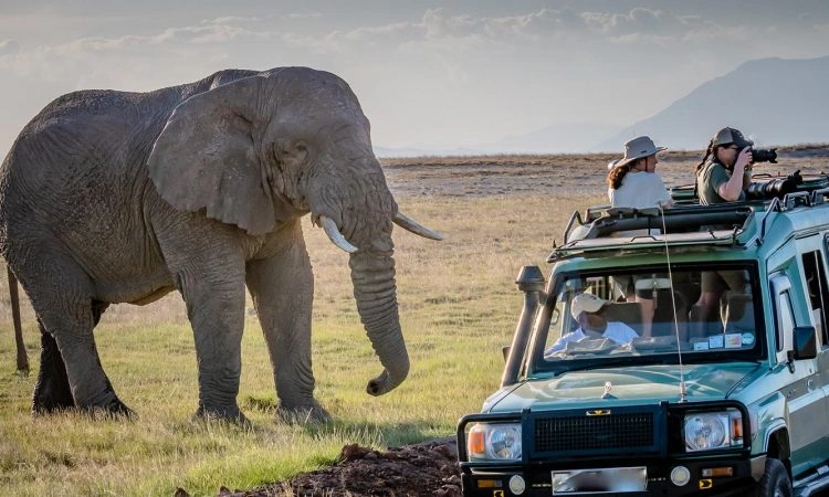 how-much-does-it-cost-to-study-tourism-in-uganda