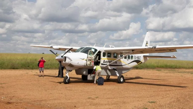 tourism-courses-that-lead-to-high-paying-jobs