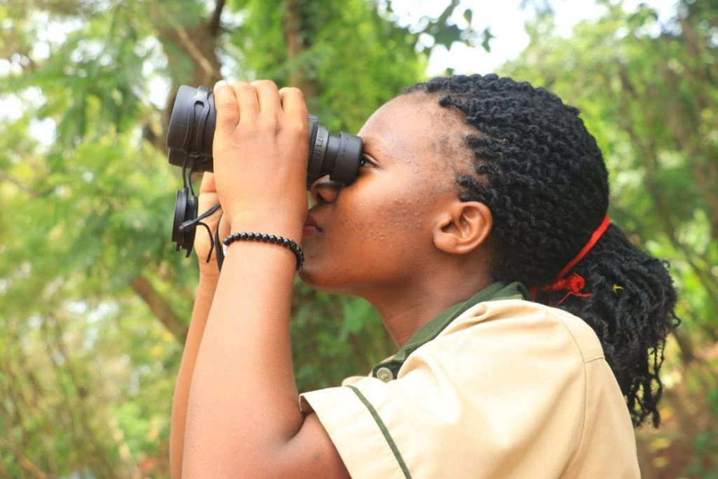 tourism-vs-business-courses-in-uganda-which-is-better-for-you