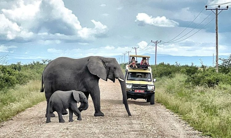 university-vs-institute-where-to-study-tourism-in-uganda