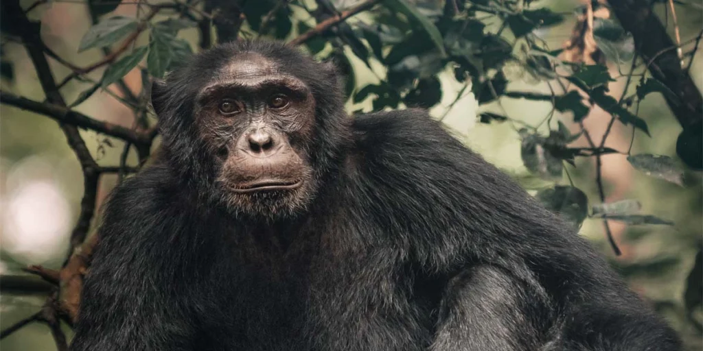 certificate-vs-diploma-course-in-tourism