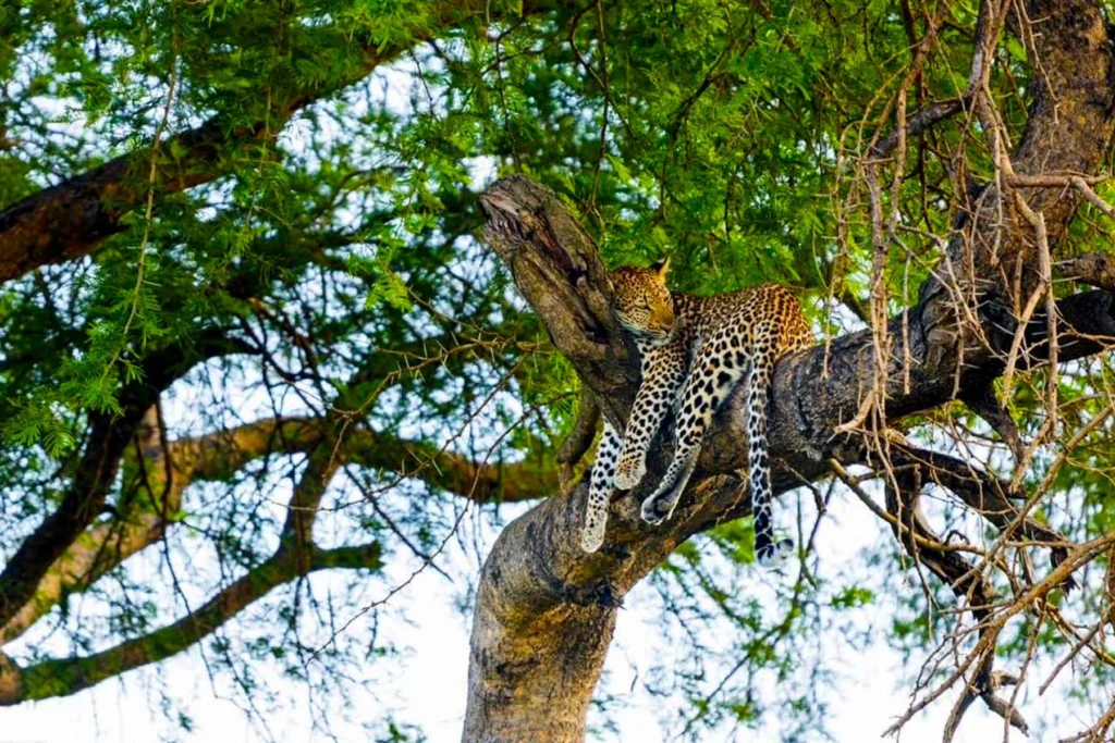 distance-learning-in-tourism-study-from-anywhere