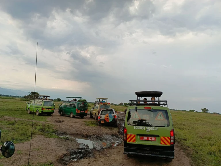 wildlife-tour-guiding-in-ugandaskills-you-must-have