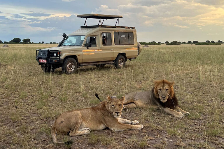 Tour Guiding Courses in Uganda :Everything You Need To Know
