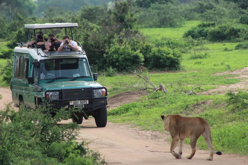 travel-agency-management-course-in-uganda-step-by-step