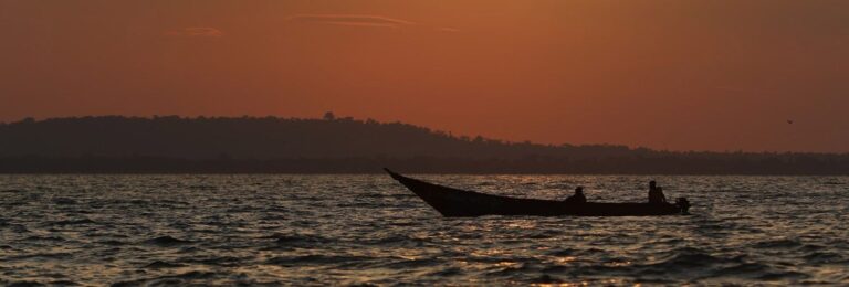 how-tourism-can-help-protect-ugandas-biodiversity