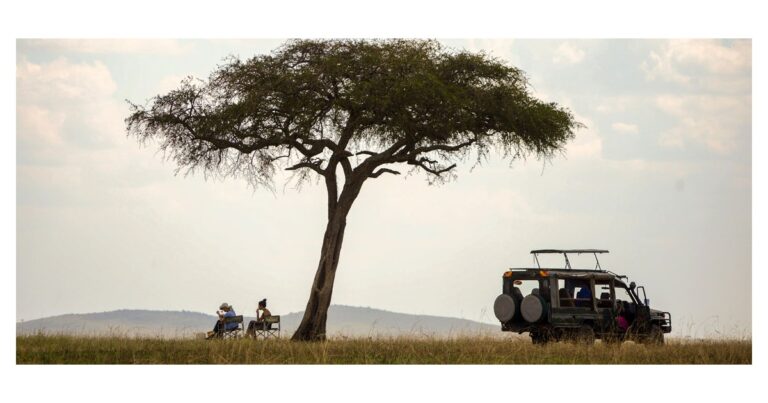 how-ugandas-tourism-industry-is-creating-jobs-for-young-people